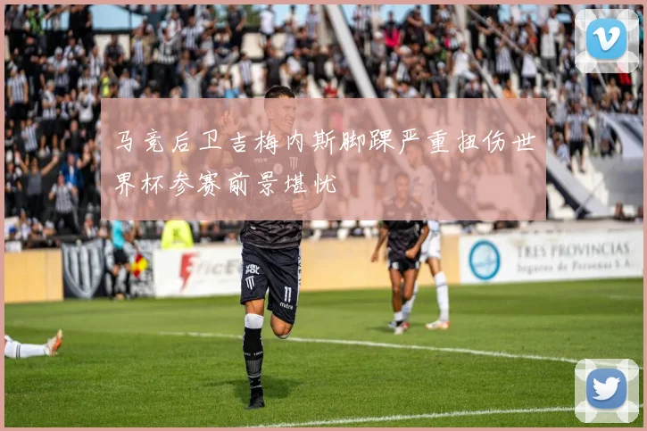 马竞后卫吉梅内斯脚踝严重扭伤世界杯参赛前景堪忧